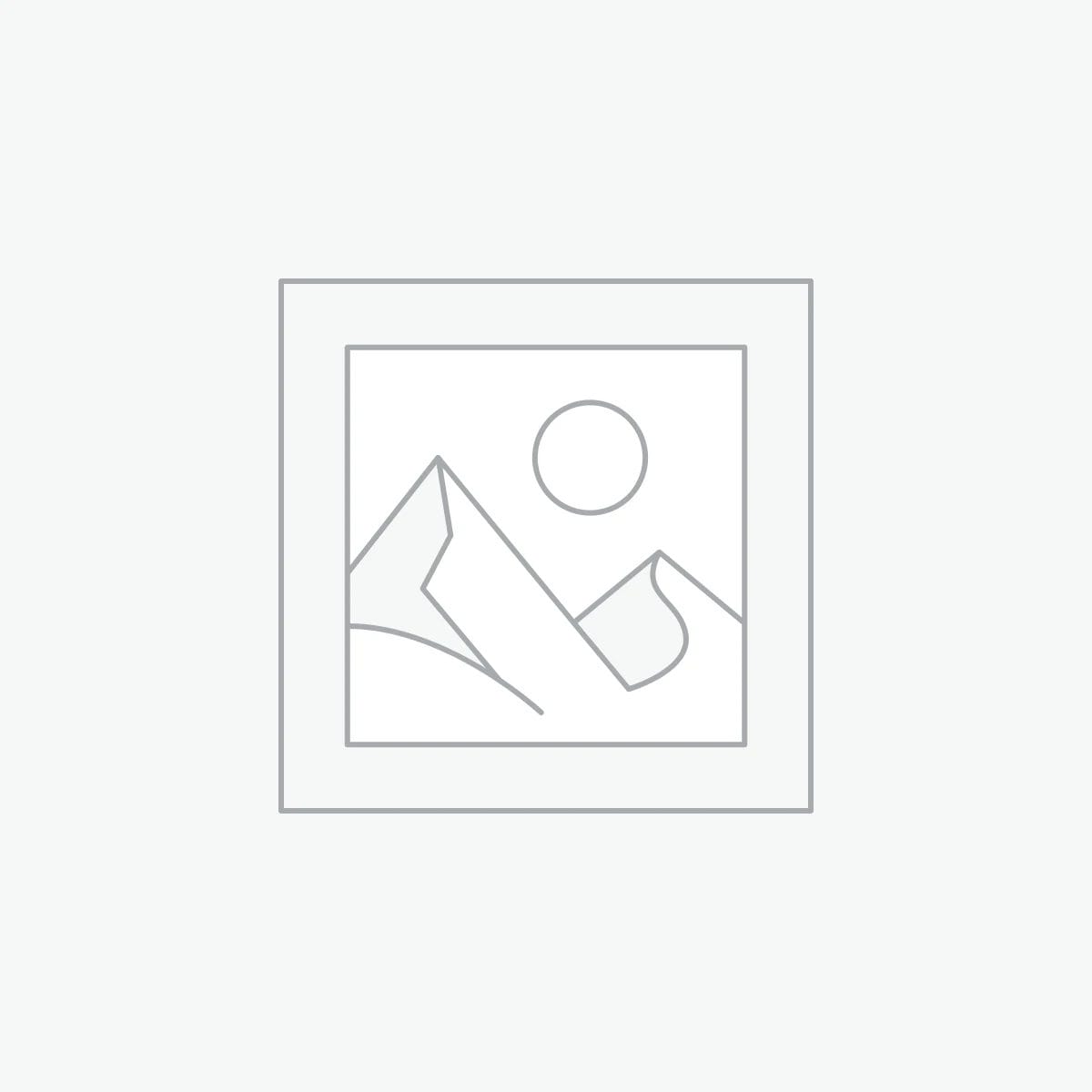 عنصر نائب Placeholder